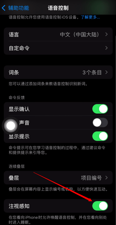 苹果手机如何隔空刷视频