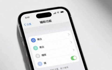 苹果手机的辅助功能都有哪些