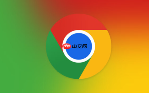 浏览器插件-Chrome 浏览器管理和优化插件使用的方法