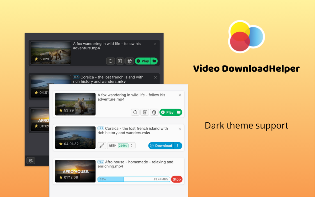 Video DownloadHelper（浏览器视频下载器拓展插件）